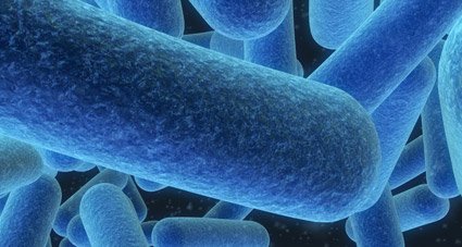 candidiasis enfermedad infecciosa