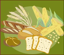 Panes variados, maiz y trigo