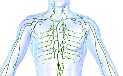 cáncer linfomas