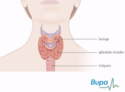 Imagen prevencionSalud tiroides1