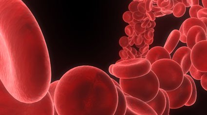 hematología enfermedades sangre