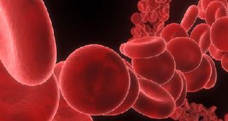 anemia glóbulos rojos