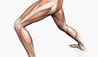 elongación muscular