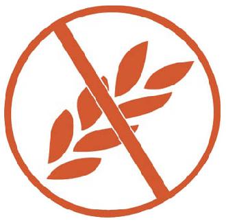 alimentos sin gluten