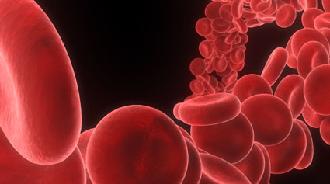 hematología enfermedades sangre