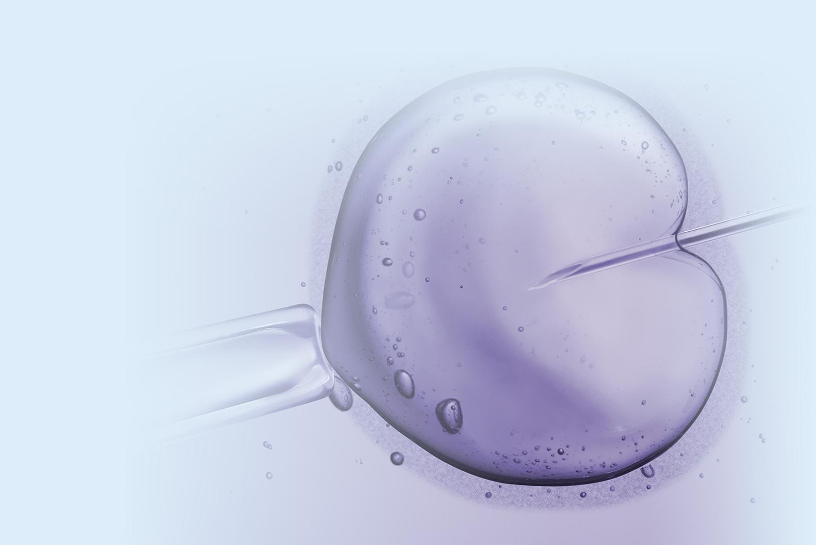 Fecundacion in vitro con donacion de ovocitos