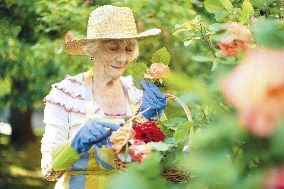 Apraxia daño cerebral