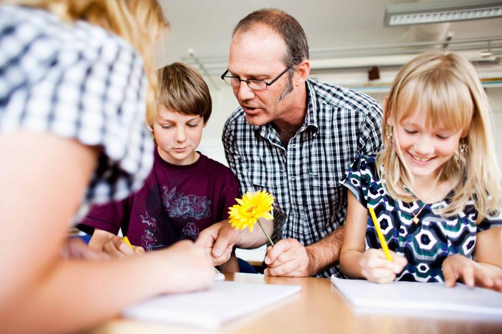 Seguro profesionales usa