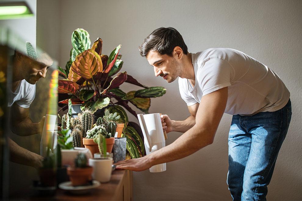 persona regando las plantas de casa
