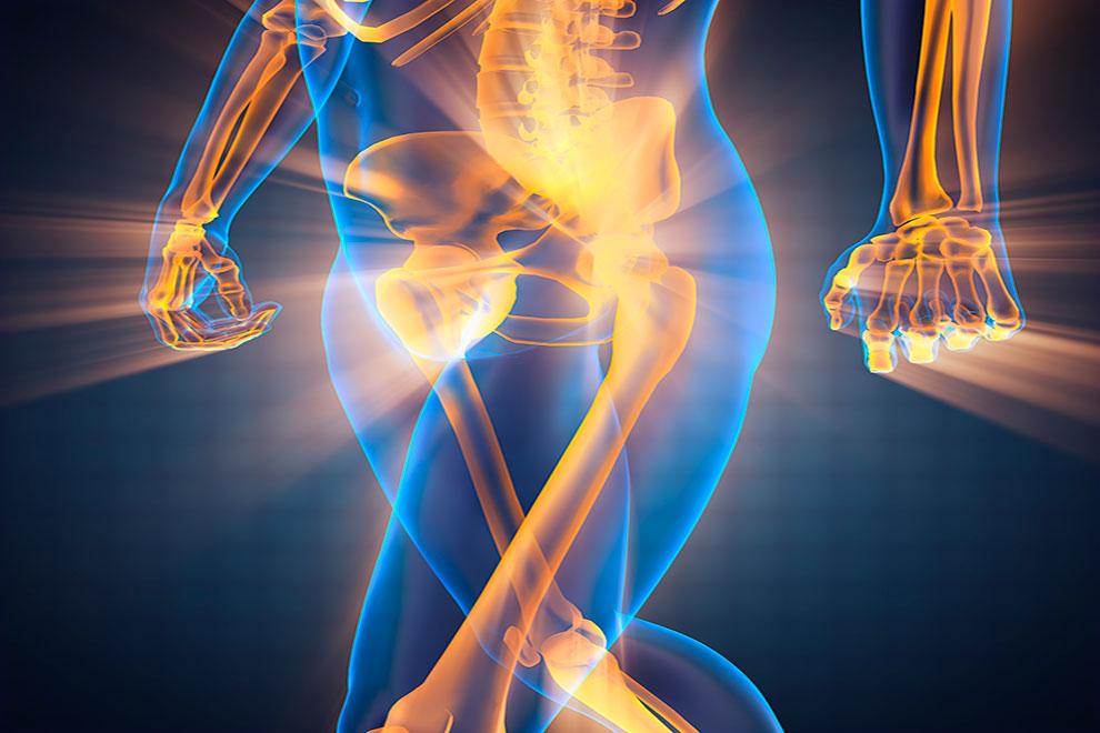 donación de médula ósea