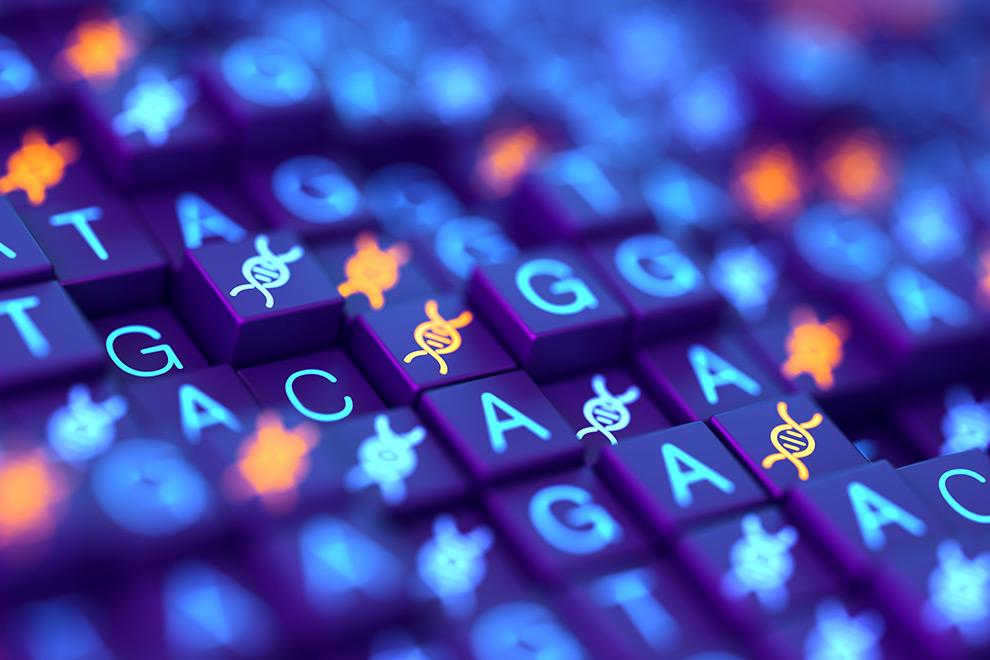 qué diferencias hay entre genes, ADN y genoma