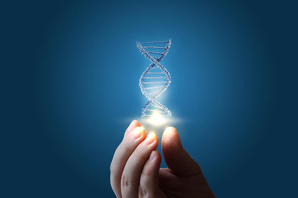 qué es el genoma humano