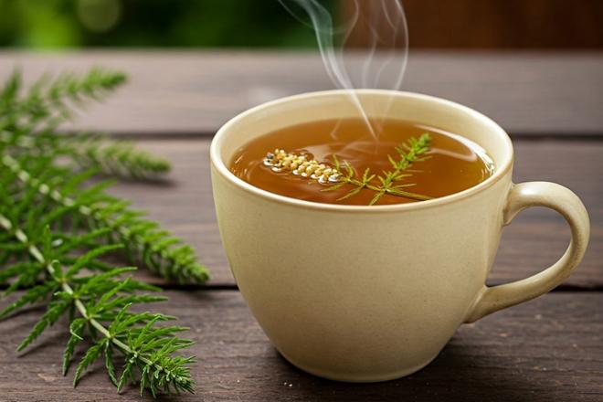 Beneficios de la cola de caballo