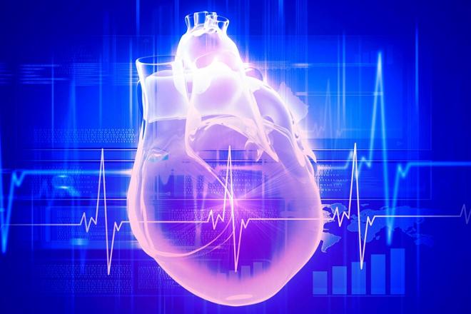 Canal aurículoventricular