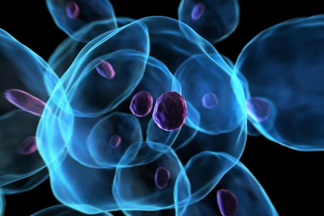 Tumores de origen desconocido