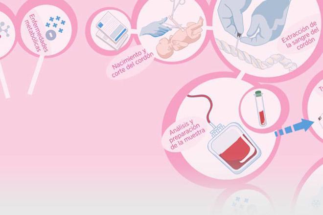 infografías Sanitas