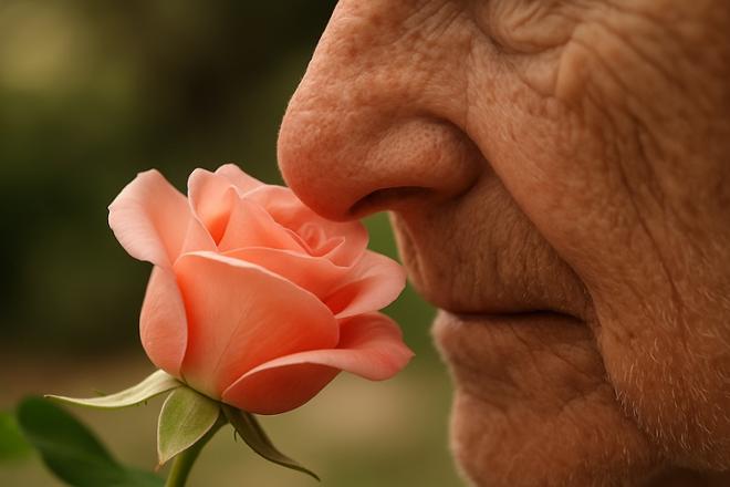Hiposmia en personas mayores
