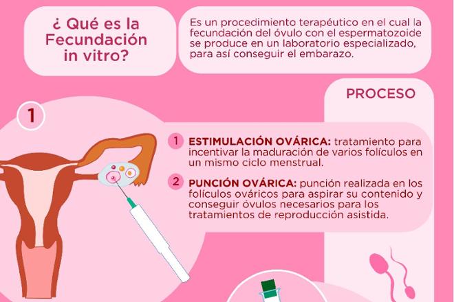 fecundación in vitro