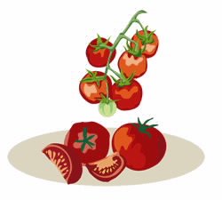 rama de tomates