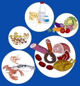 Imágen sobre Proteinas.