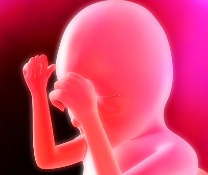 Embarazo mes a mes: cuarto mes