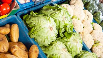 alimentación y cáncer