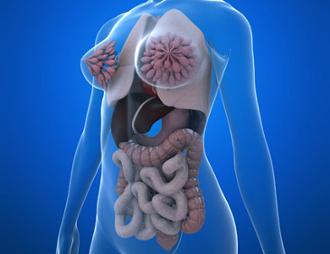 cáncer frecuentes en la mujer