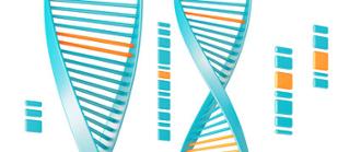 cáncer hereditario
