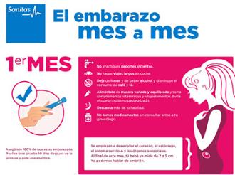 Imagen embarazo elembarazo etapas embarazo