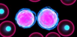 cáncer leucemia