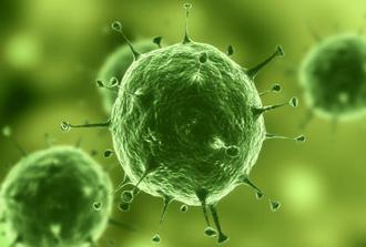 El virus del papiloma humano