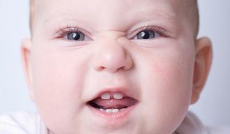formación de los dientes del bebé