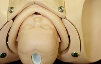 funciones de la vagina