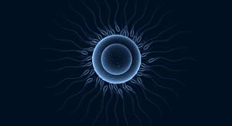 infertilidad masculina de origen postesticular