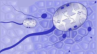 infertilidad masculina de origen testicular