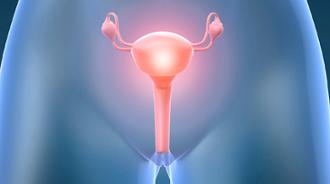 menstruación periodo