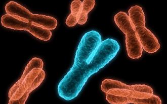 síndrome de Klinefelter