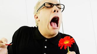 síntomas de la alergia