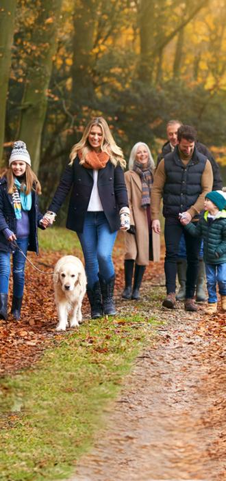 prueba imagen mobile