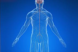 Información sobre lesiones nerviosas