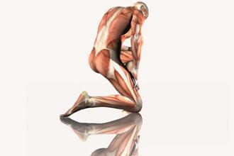 Información sobre lesiones tendinosas