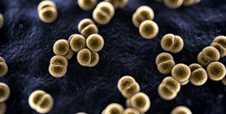 meningitis enfermedad