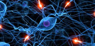 La serotonina y las emociones