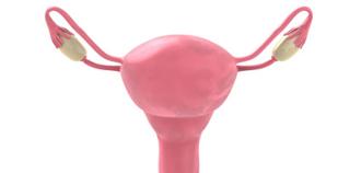 Tratamiento del vaginismo