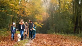 prueba imagen desktop