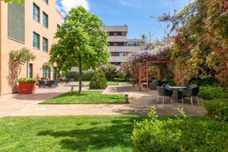 Jardines Residencia de mayores La Moraleja