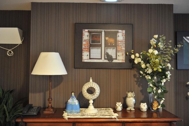 decoracion residencia mayores mas camarena